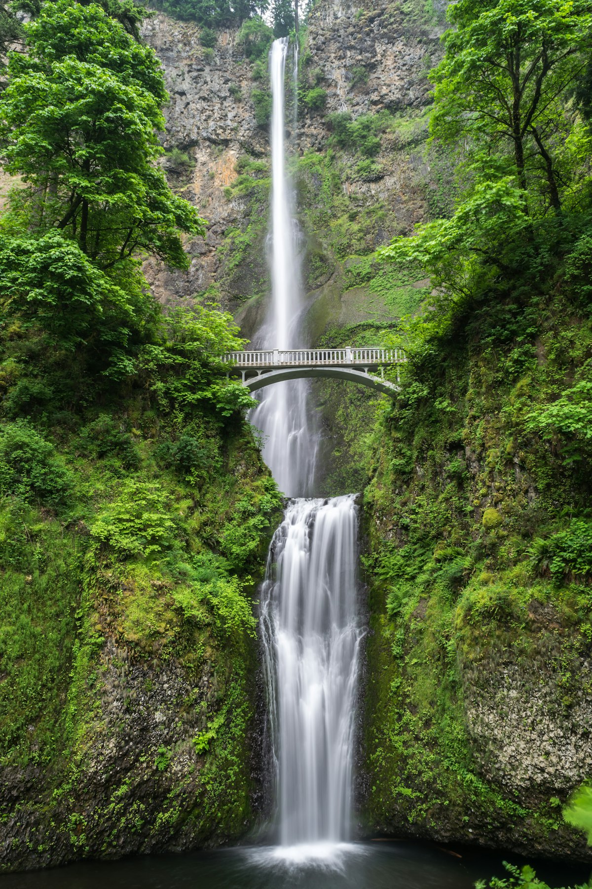千岛湖 · 宠物友好景区攻略